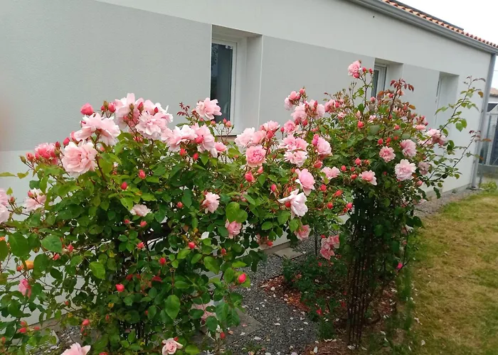 Perle Rare A Energie Positive Appartement Saint-Michel-Chef-Chef