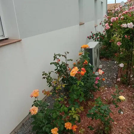 Apartament Perle Rare A Energie Positive *