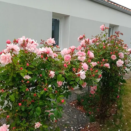 Perle Rare A Energie Positive Apartament Saint-Michel-Chef-Chef