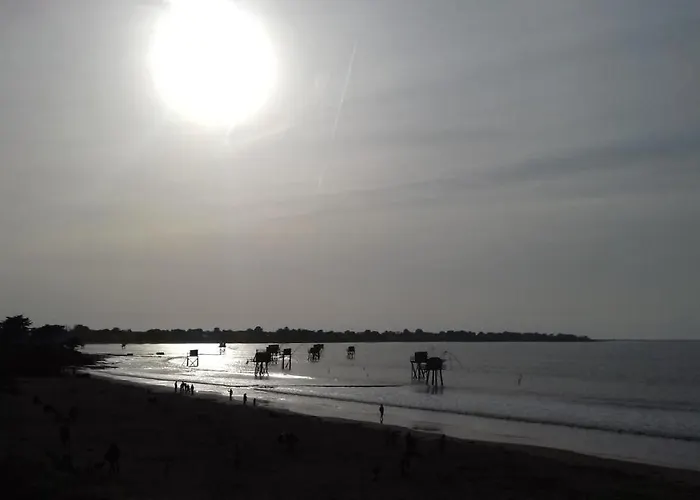 Perle Rare à énergie Positive